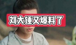 刘大锤最新爆料直播,娱乐圈最新爆料大揭秘！